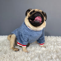 Cotton Dog Sweater